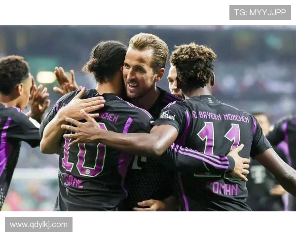 哪些球队才是真正长期扎根德甲的传统豪门？